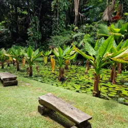 Botanical Gardens of Seychelles - Aux Cap
