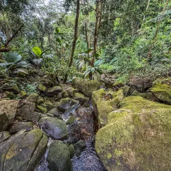 Mahe Island Coastal Walks - Aux Cap