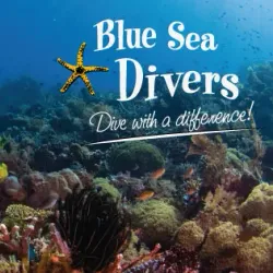 Snorkeling and Diving Spots - Aux Cap