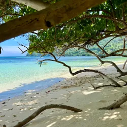 Anse Marie-Louise - Baie Lazare