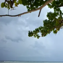 Anse Marie-Louise - Baie Lazare