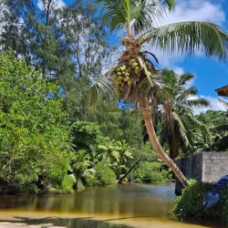 Anse Soleil Beach - Baie Lazare