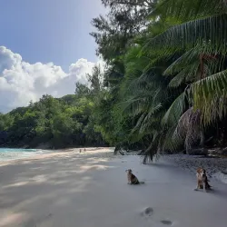 Anse Soleil Beach - Baie Lazare