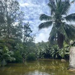 Anse Soleil Beach - Baie Lazare