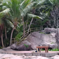 Creole Cuisine Restaurants - Baie Lazare