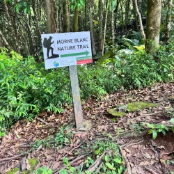 Morne Blanc Trail - Baie Lazare