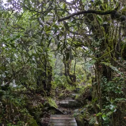 Morne Blanc Trail - Baie Lazare