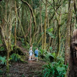 Morne Blanc Trail - Baie Lazare