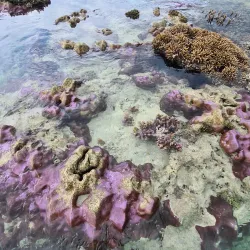 Port Launay Marine National Park - Baie Lazare
