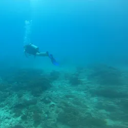Beau Vallon Water Sports Center - Beau Vallon