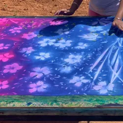 Island Hopping Tours - Beau Vallon