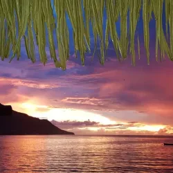 Local Restaurants and Beach Bars - Beau Vallon