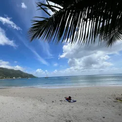 Local Restaurants and Beach Bars - Beau Vallon