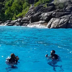 Snorkeling and Diving Spots - Beau Vallon