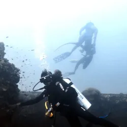 Snorkeling and Diving Spots - Beau Vallon