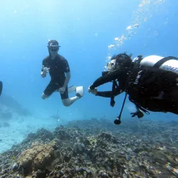 Snorkeling and Diving Spots - Beau Vallon