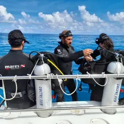 Snorkeling and Diving Spots - Beau Vallon