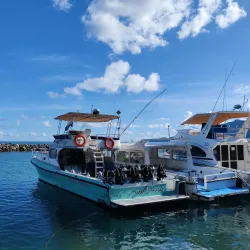 Snorkeling and Diving Spots - Beau Vallon