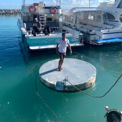 Snorkeling and Diving Spots - Beau Vallon