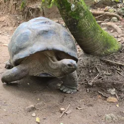 Ste Anne Marine National Park - Beau Vallon
