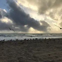 Anse Coco - La Digue