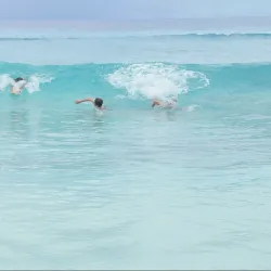 Anse Coco - La Digue