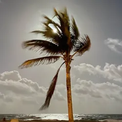 Anse Coco - La Digue