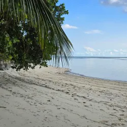 Anse Severe Beach - La Digue