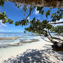 Anse Source d'Argent - La Digue