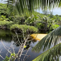 Grand Anse Beach - La Digue