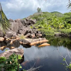 Grand Anse Beach - La Digue