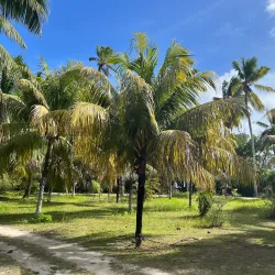 L'Union Estate - La Digue