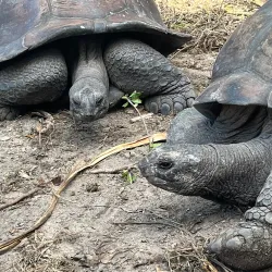 L'Union Estate - La Digue