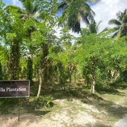 L'Union Estate - La Digue