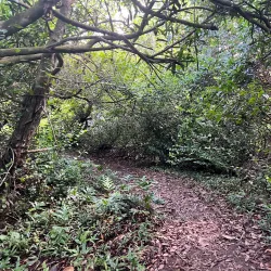 Nid d'Aigle (Eagle's Nest) Hike - La Digue