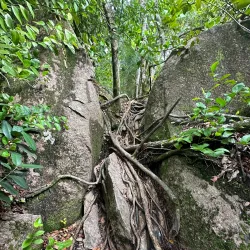 Nid d'Aigle (Eagle's Nest) Hike - La Digue