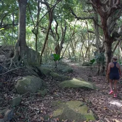 Nid d'Aigle (Eagle's Nest) Hike - La Digue