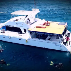 Snorkeling and Diving Spots - La Digue