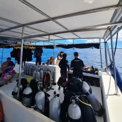 Snorkeling and Diving Spots - La Digue