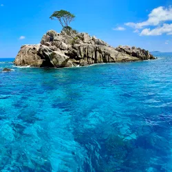 Snorkeling and Diving Spots - La Digue