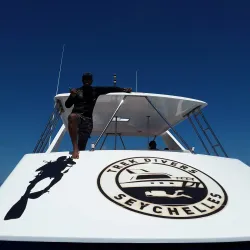 Snorkeling and Diving Spots - La Digue