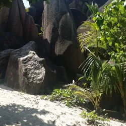 Traditional Creole Village - La Digue