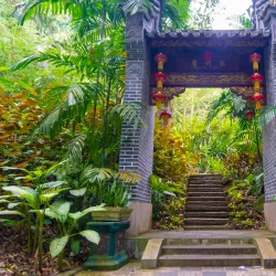 Seychelles Botanical Gardens - Victoria