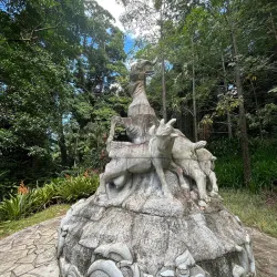 Seychelles Botanical Gardens - Victoria