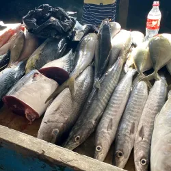 Sir Selwyn Selwyn-Clarke Market - Victoria