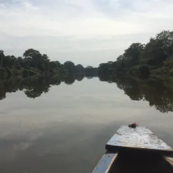 Scenic Countryside Walks - Alikalia