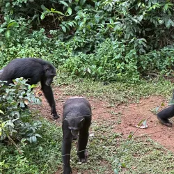 Boat Tours - Hastings