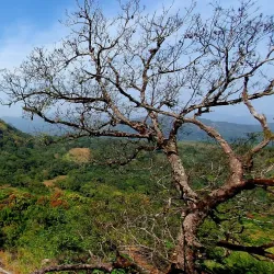 Boat Tours - Hastings