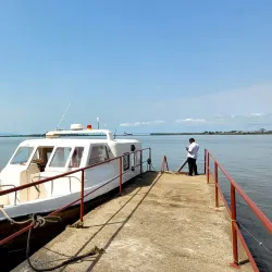 Boat Tours - Hastings