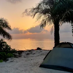 Boat Tours - Hastings